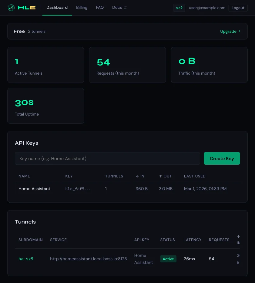 HLE Dashboard showing usage stats, API keys, and active tunnels